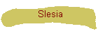 Slesia