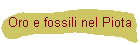 Oro e fossili nel Piota