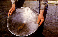 Cercatore d'oro con Batea del tipo conico