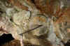 miniera Servette, un curioso particolare notato nel liv1759